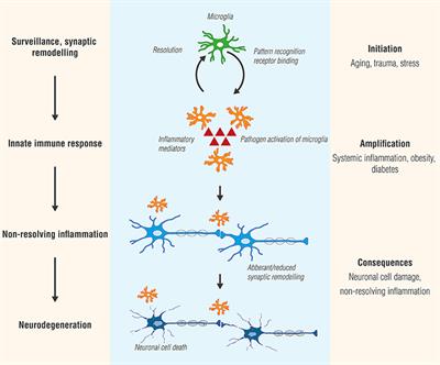 Frontiers | An Inflammation Centric Frontiers | Neuroinflammation, Pain and